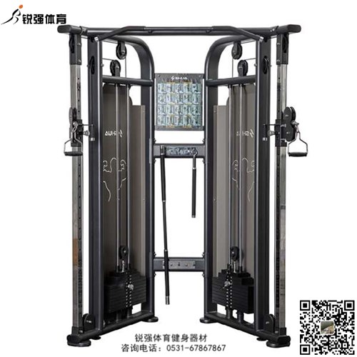 大飛鳥(niǎo)訓練器