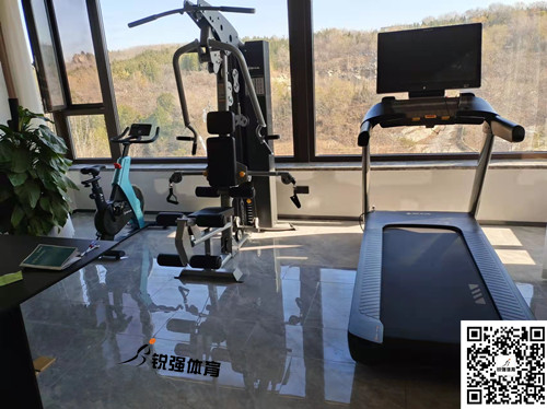 濟南某別墅區私家健身房