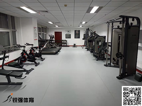 濟南某集團采購的VSPORTS体育官网體育提供的健身器材